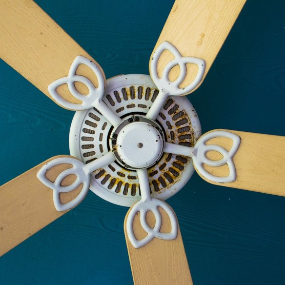 TreshaBarger-RadialSymmetry-wk31