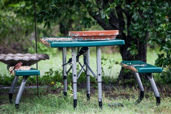 Shelter from Hurricane Harvey 2017