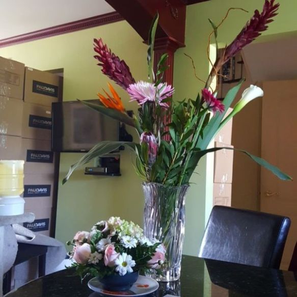 FF 156 Dale Rogerson