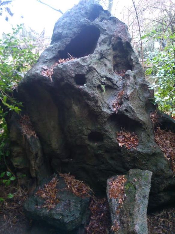 Photo copyright CE Ayr