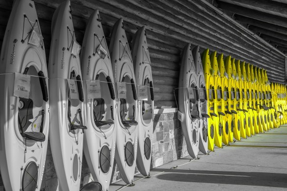 TreshaBarger-SelectiveColor-wk36