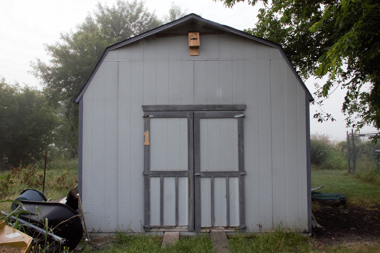 00s Shed with bat house 1 (2)