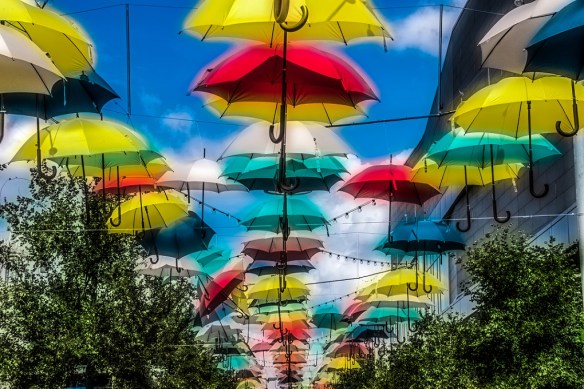 TreshaBarger-DreamscapeBWandColor-wk39