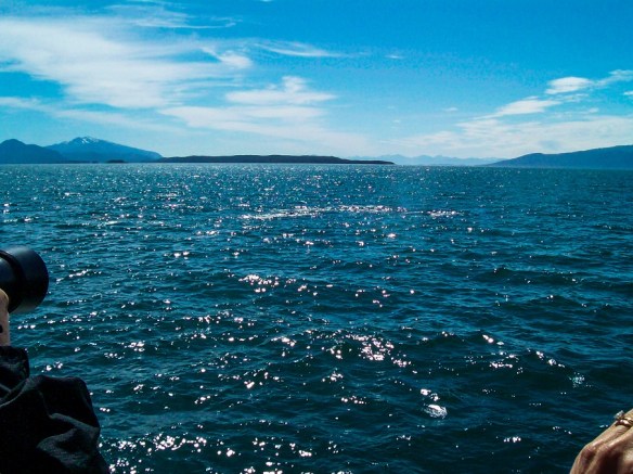 Photo by Kay Bubert with a little point-and-shoot camera