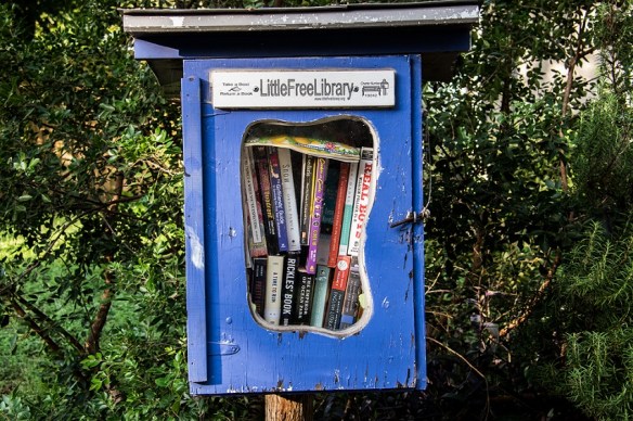 Little Lending Libraries (2)