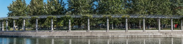 TreshaBarger-Panorama-wk43