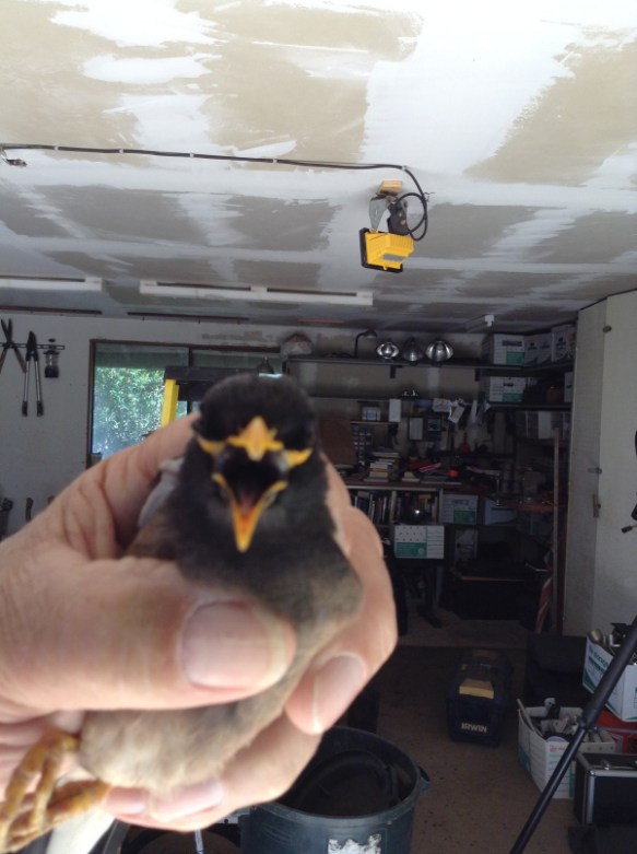 Photo copyright Douglas M MacIlroy