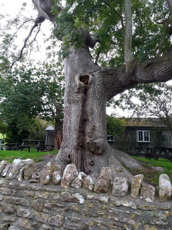 Photo copyright Sandra Crook