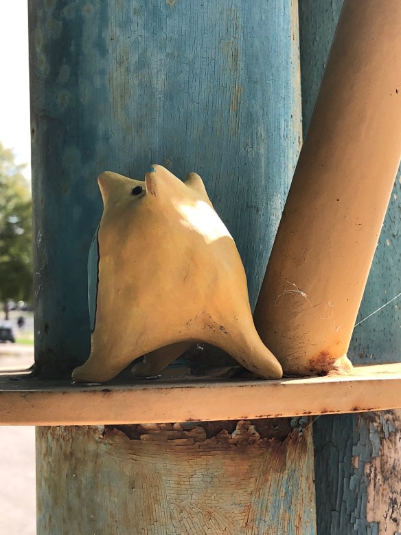 00s Birds at the Library (3)