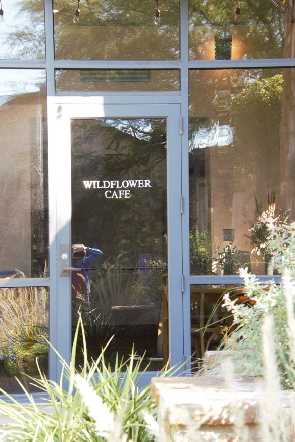 00s Wildflower Center 2017 10 (4)