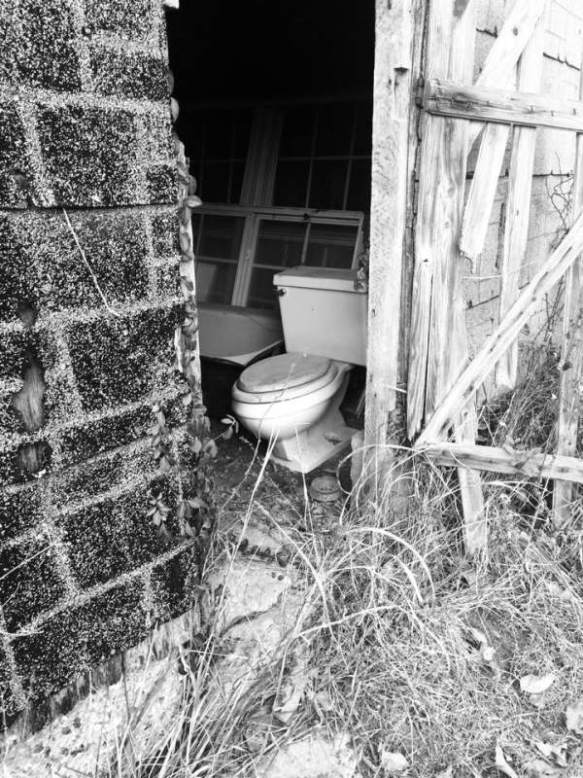 Photo copyright What's His Name