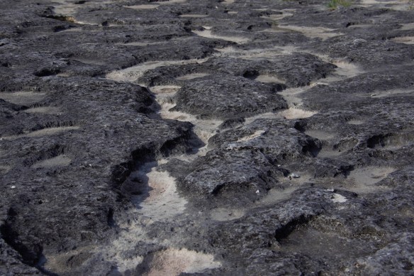 00s McKinney Falls falls (2) (2)