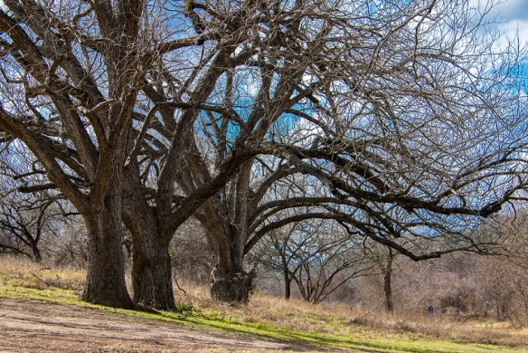 Along the trail (13)