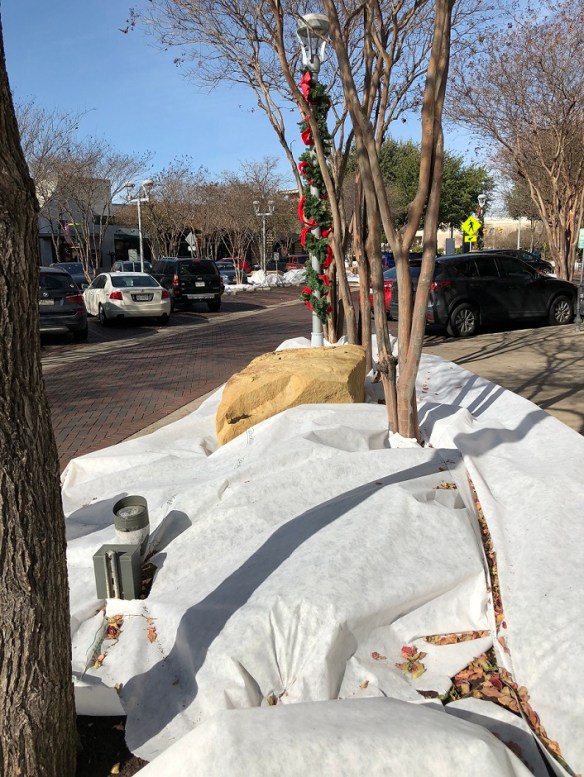 00s Looks like snow (3)