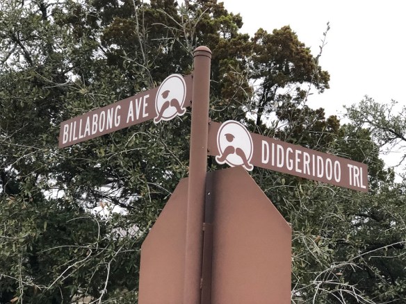 00s Billabong Didgeridoo