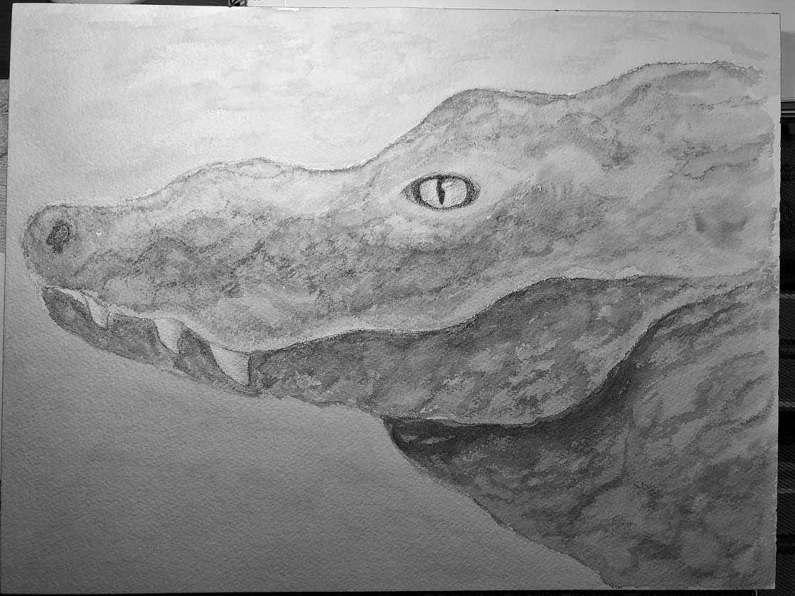 00s Chinese Alligator 27 B&W