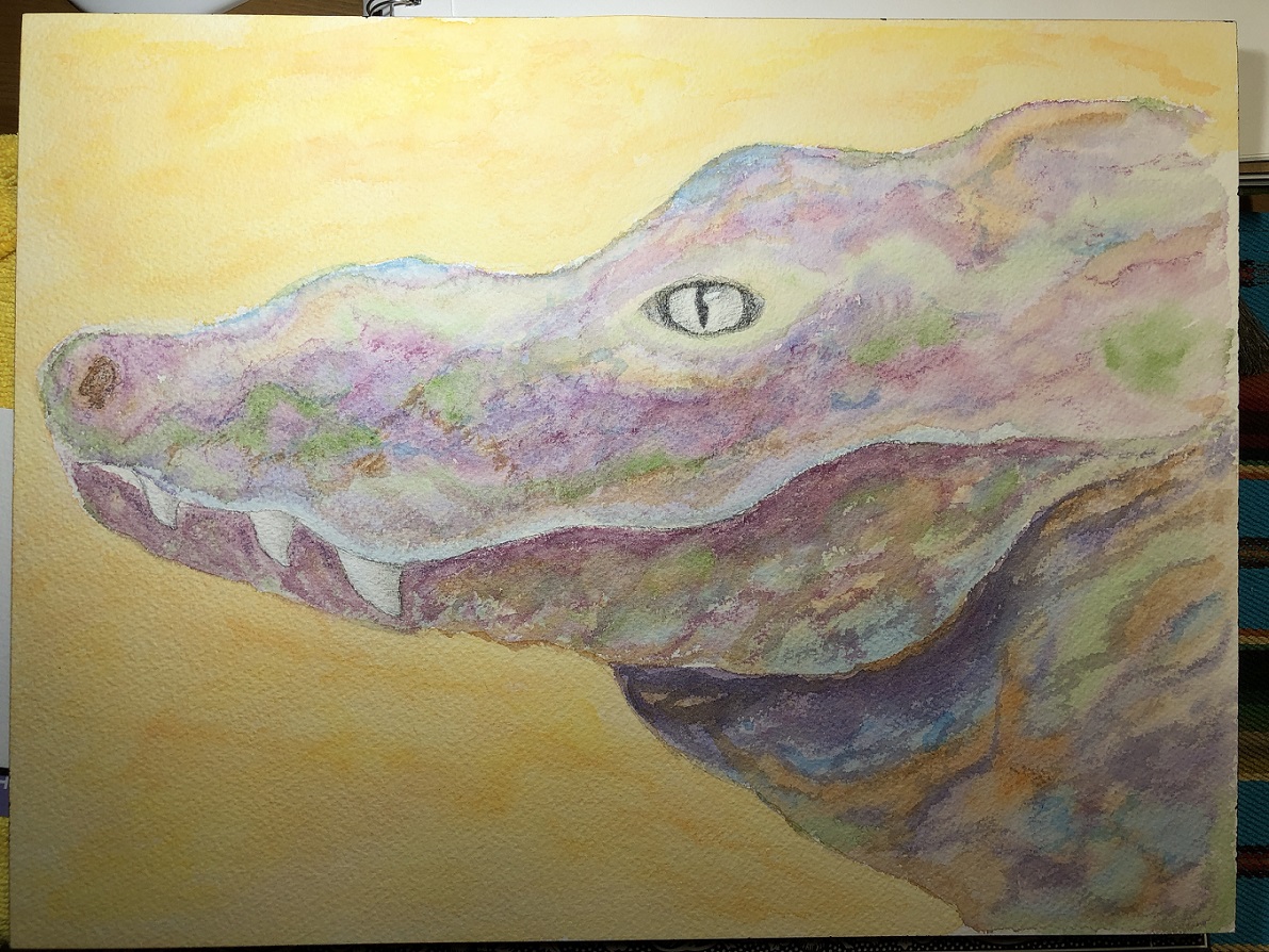 00s Chinese Alligator 27