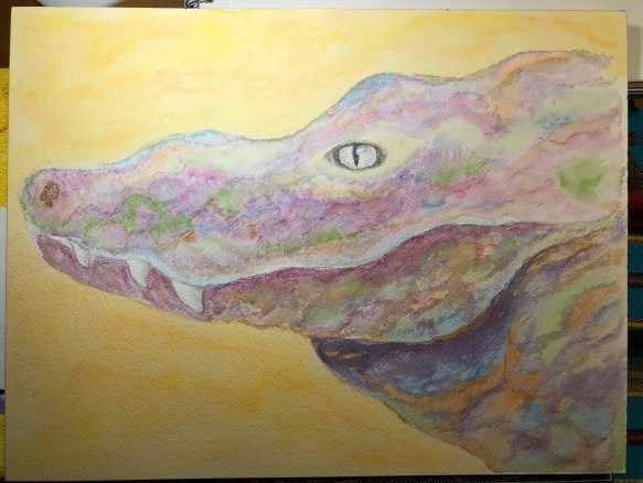 00s Chinese Alligator 27