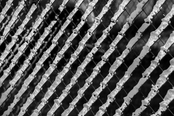 Fence Pattern in Snow