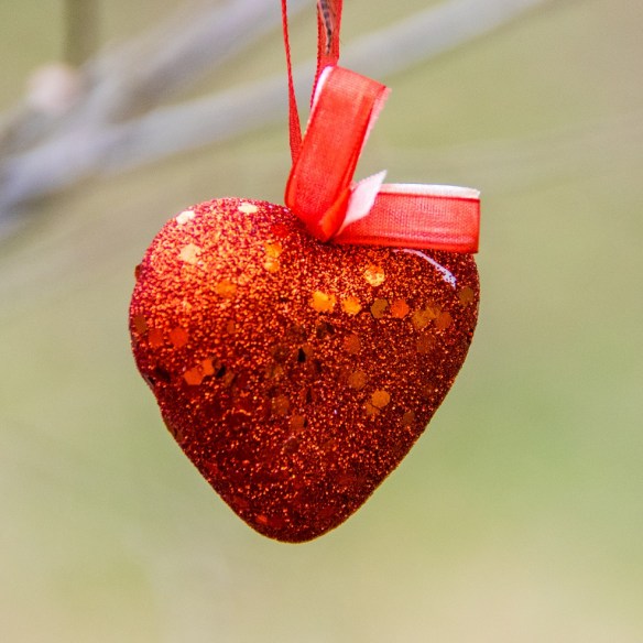 Heart hanging from a tree