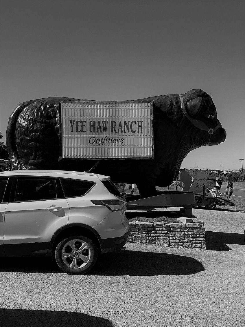 00s Yee Haw Outfitters (4) B&W