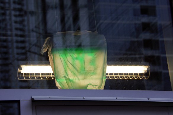 Through the glass (1) (2)