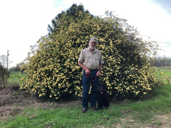 00s Bruce and Ruckus