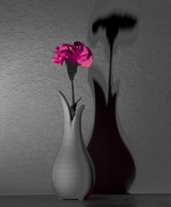 TreshaBarger-AmericanPie-2018-wk12