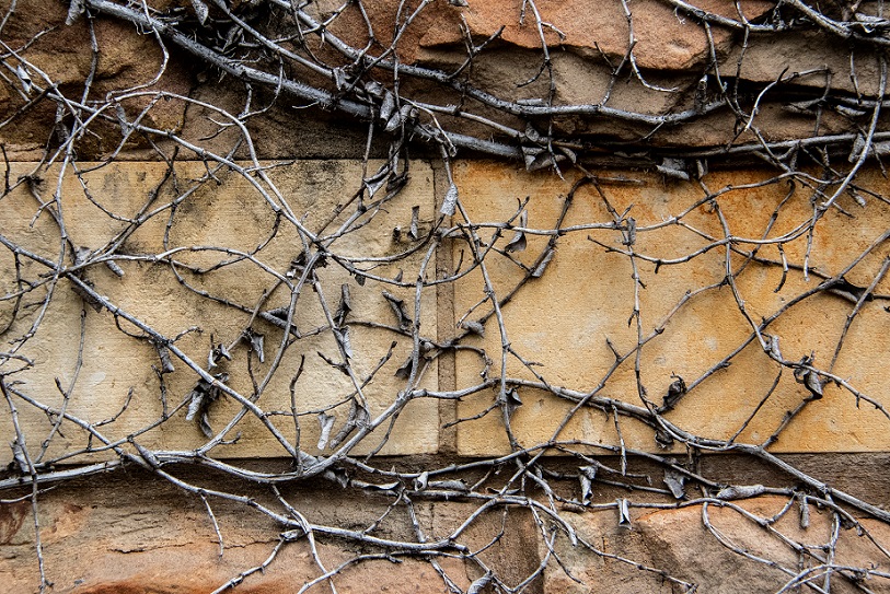 Wall
