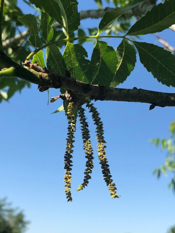 00s iPhone May 2018 (1)