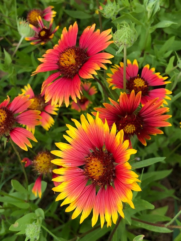 00s iPhone May 2018 (5)