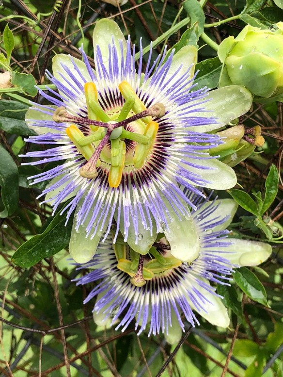 00s iPhone May 2018 (7)