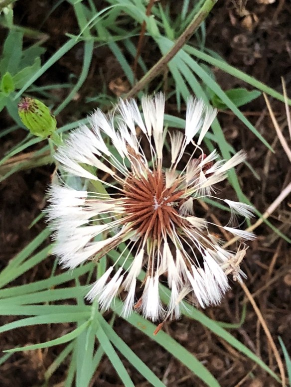 00s iPhone May 2018 (9)