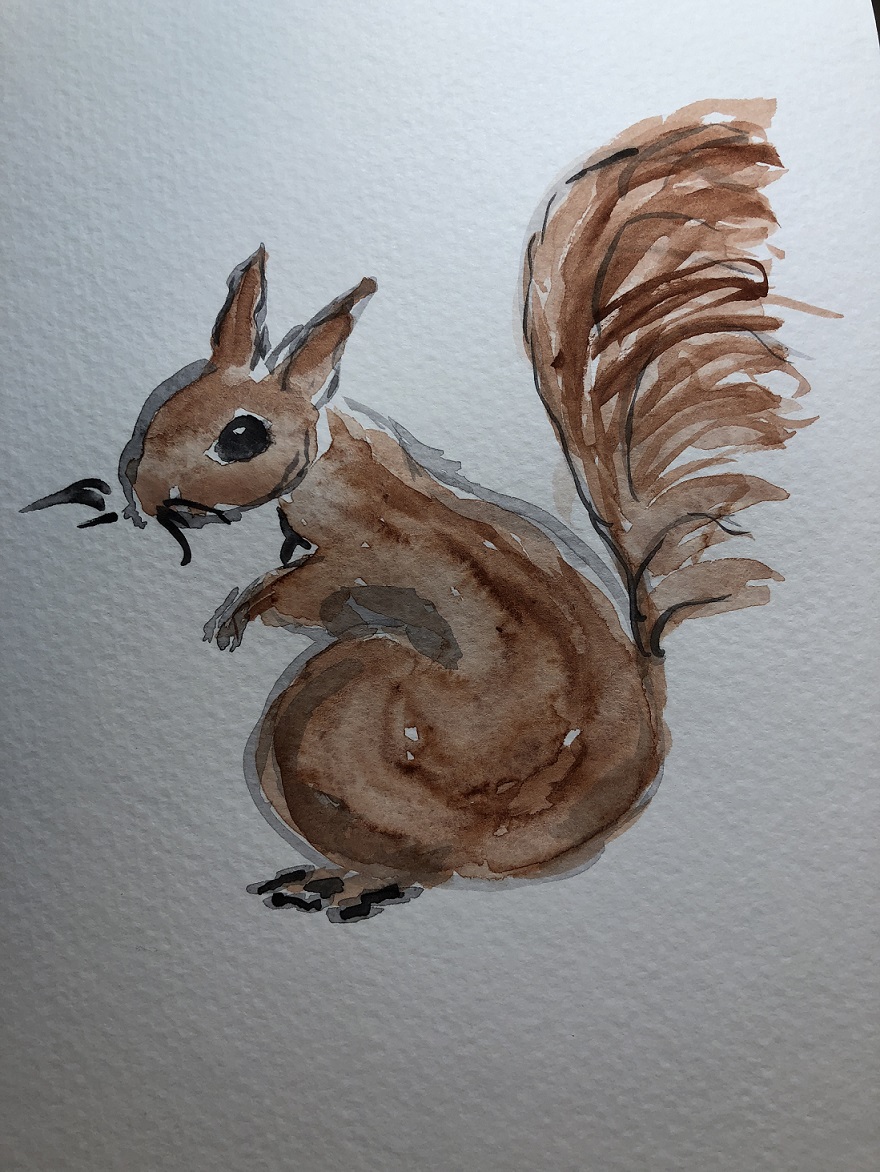 00s 15 Squirrel