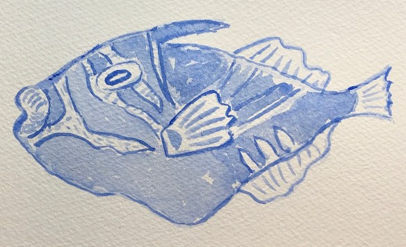 00s 27 Humuhumunukunukuapuaa