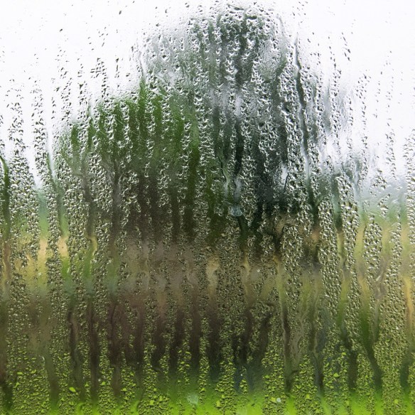 TreshaBarger-MorningMoods-2018-wk24