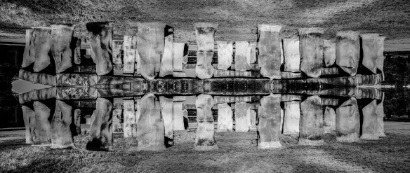 TreshaBarger-MirroredImage-2018-wk22