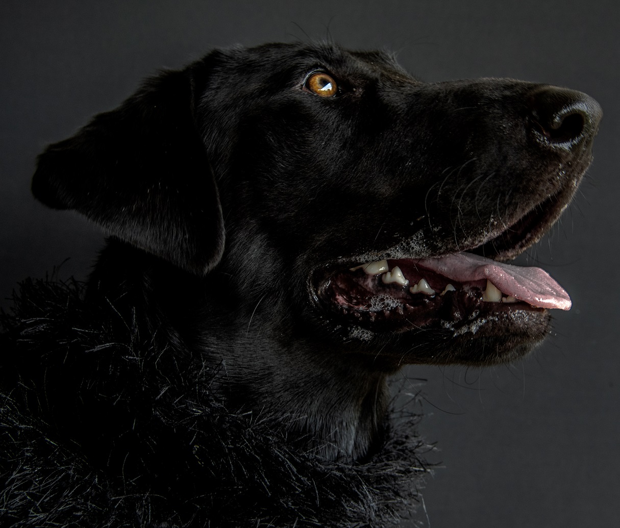 TreshaBarger-BlackOnBlack-2018-wk30