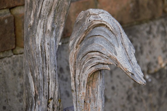 00s Wood duck shape (2)