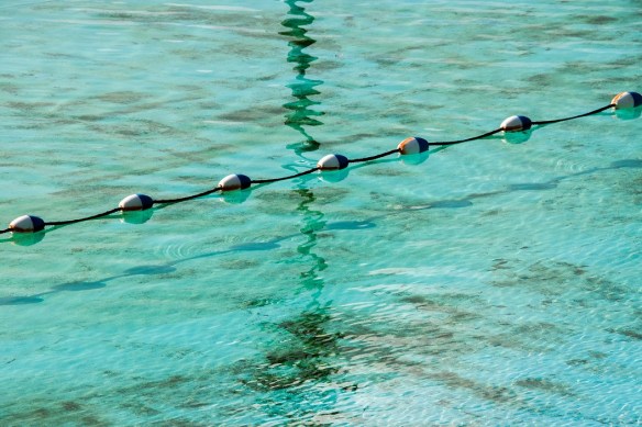 TreshaBarger-Transparent-2018-wk34