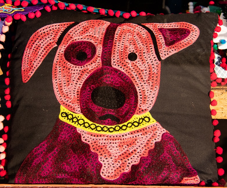 Dog Pillow in the Window