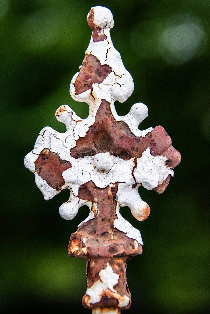 TreshaBarger-OldPaint2-2018-wk35