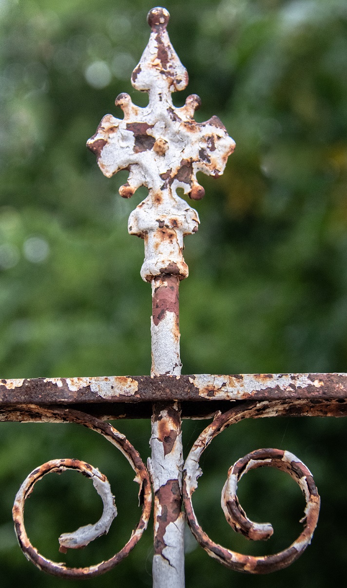 Wrought Iron Fence (6)