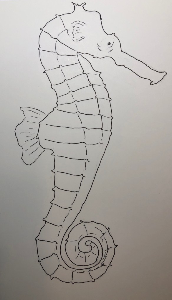00s 02 Seahorse
