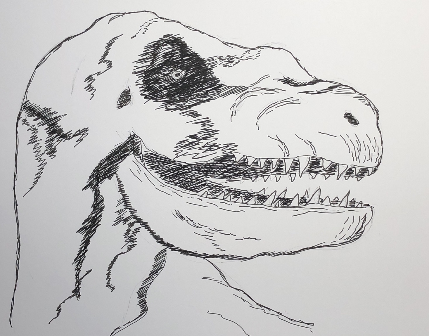 00s 29 T Rex