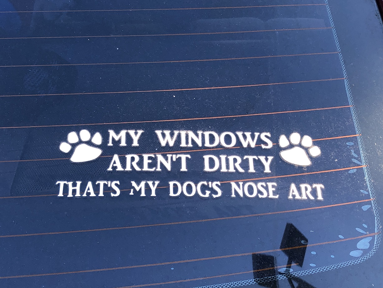 00s Dog Nose Art