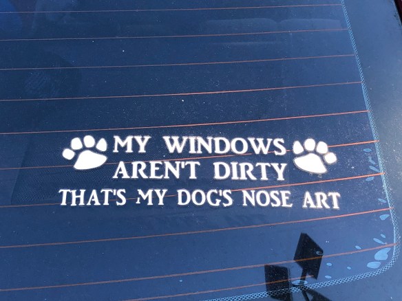 00s Dog Nose Art