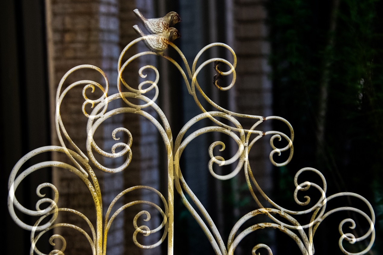 TreshaBarger-DoubleExposure-2018-wk43