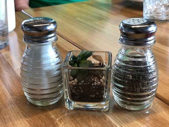 00s Salt and Pepper shakers