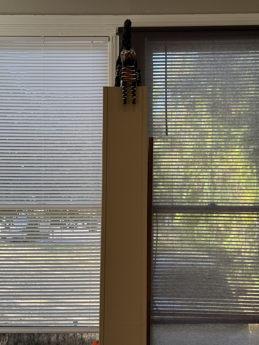 Two Windows | It's a long story